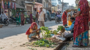 Shopping